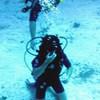 Picture taken during the dive