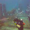 Picture taken during the dive