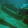 Picture taken during the dive