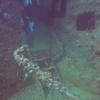 Picture taken during the dive