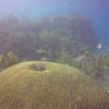 Picture taken during the dive
