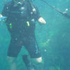 Picture taken during the dive