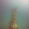 Picture taken during the dive