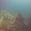 Picture taken during the dive