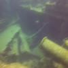 Picture taken during the dive