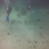 Picture taken during the dive