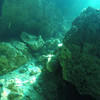 Picture taken during the dive