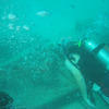 Picture taken during the dive