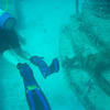Picture taken during the dive