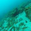 Picture taken during the dive