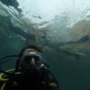 Picture taken during the dive