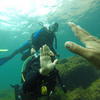 Picture taken during the dive