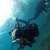 Picture taken during the dive