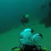 Picture taken during the dive