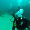 Picture taken during the dive