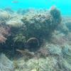 Picture taken during the dive