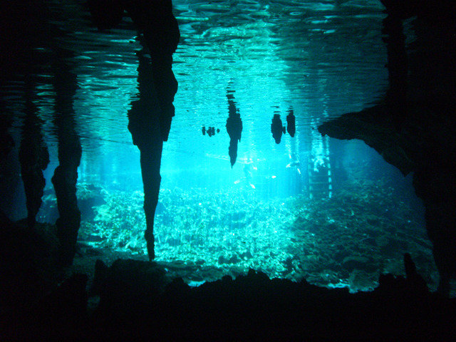 Green Divers Mexico - Dive Center in Mexico