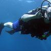Picture taken during the dive