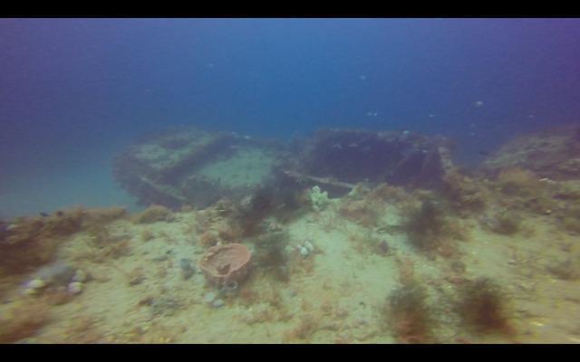 Sea Pup Divers - Dive Center in United States