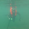 Picture taken during the dive