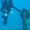 Picture taken during the dive