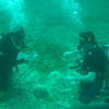 Picture taken during the dive