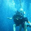 Picture taken during the dive
