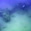 Picture taken during the dive