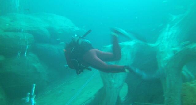 Diving in 比利时, Beringen - By Jeroen Van Delft