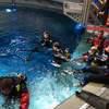 Picture taken during the dive