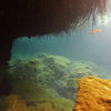 Picture taken during the dive