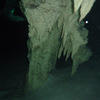 Picture taken during the dive