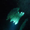 Picture taken during the dive