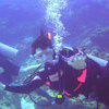 Picture taken during the dive