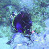 Picture taken during the dive