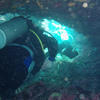 Picture taken during the dive