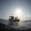 Picture taken during the dive