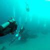 Picture taken during the dive
