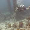 Picture taken during the dive