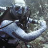 Picture taken during the dive