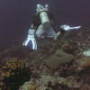 Picture taken during the dive