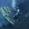 Picture taken during the dive