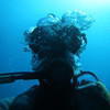 Picture taken during the dive