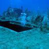 Picture taken during the dive
