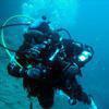 Picture taken during the dive