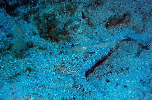 Pula Diving Center - Dive Center in Italy