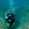Picture taken during the dive