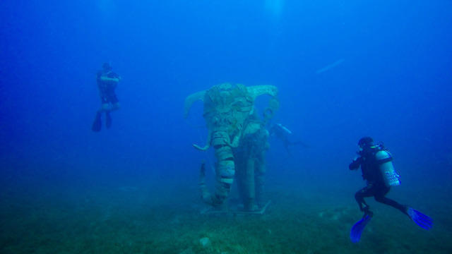 Deep Blue Divers - Dive Center in Egypt
