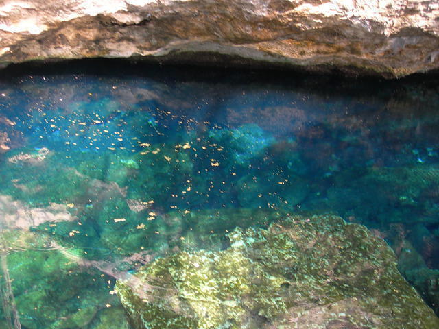 Blue Caribe Diving - Dive Center in Mexico