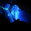 Picture taken during the dive